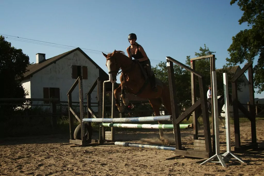 Obozy konne Mazury Łyna