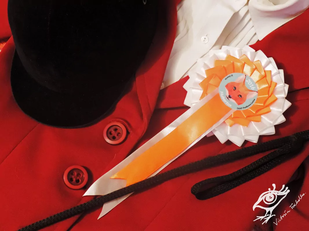 You are currently viewing Hubertus w SJS, czyli pogoń za lisem!