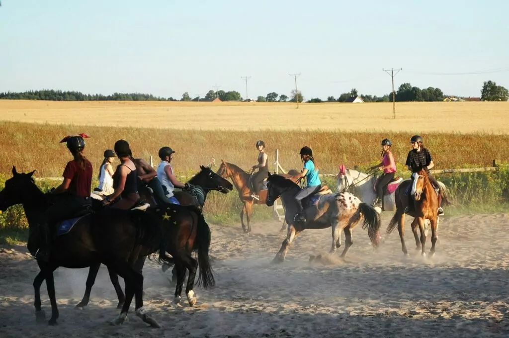 Nauka jazdy konnej na Mazurach