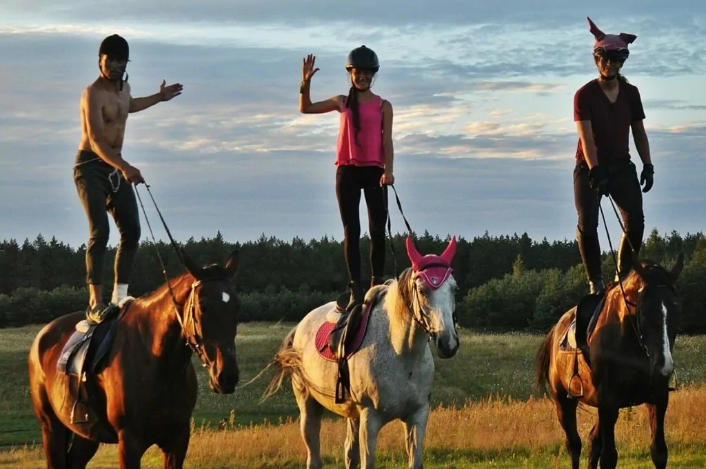 Konie na obozach konnych na Mazurach