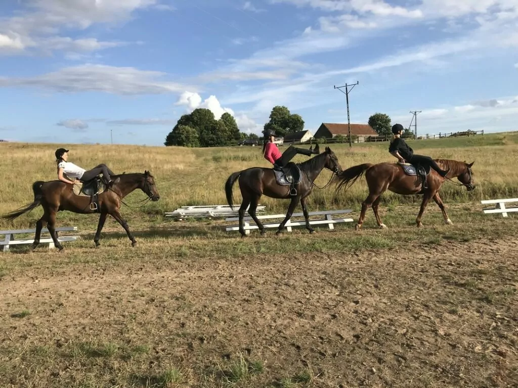 Nauka jazdy konnej na Mazurach