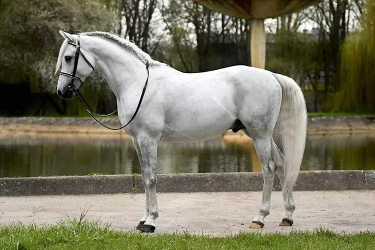 You are currently viewing Cmoker