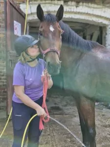 Read more about the article Dalia