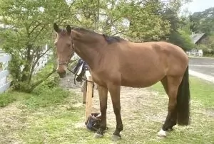 Read more about the article Tajemnica