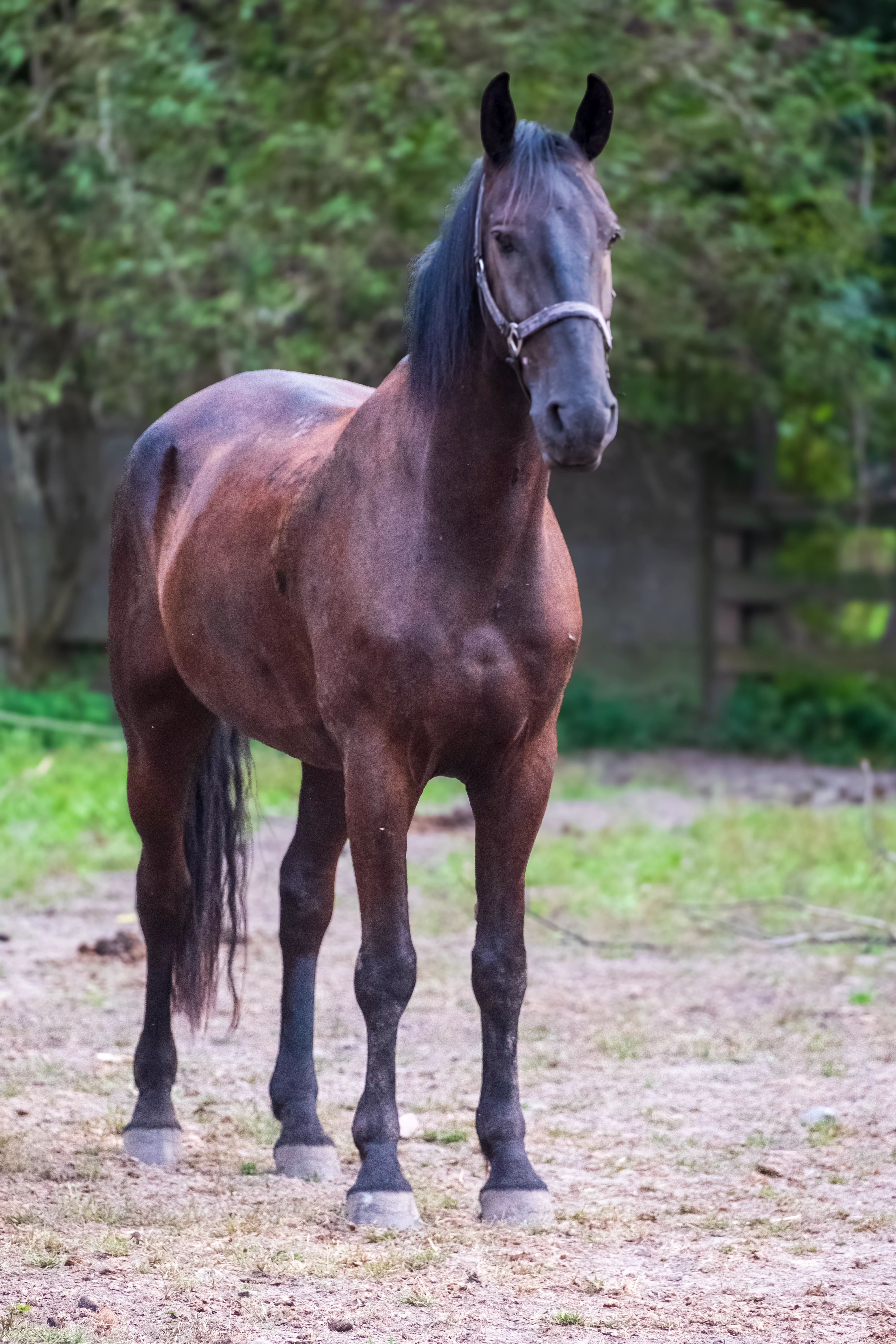 You are currently viewing Xagen