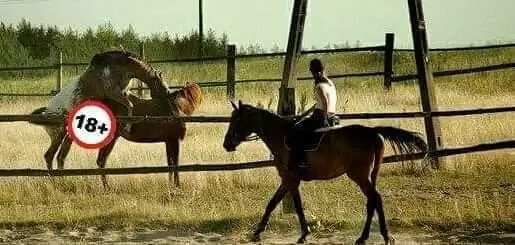 Jazda konna na mazurach