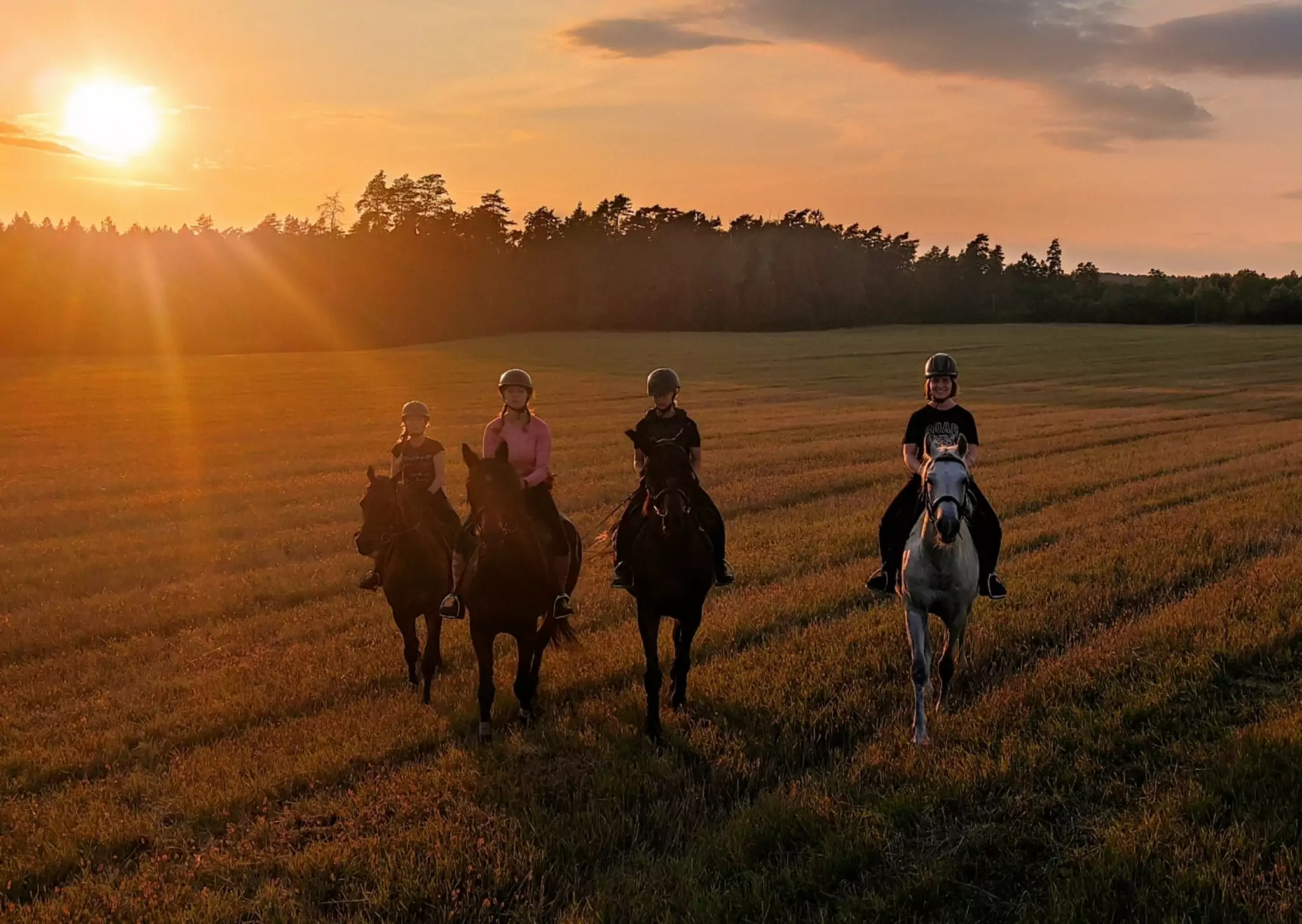 You are currently viewing SJ SZARŻA ZAPRASZA NA OBOZY JEŹDZIECKIE!